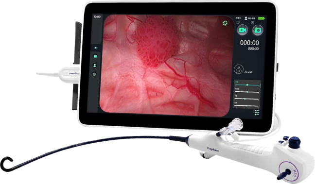 Cystocope